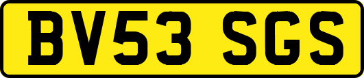 BV53SGS