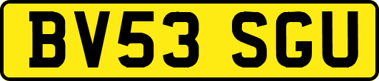 BV53SGU