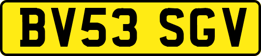 BV53SGV