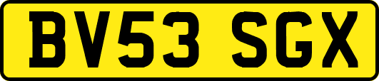 BV53SGX