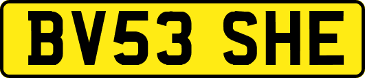 BV53SHE
