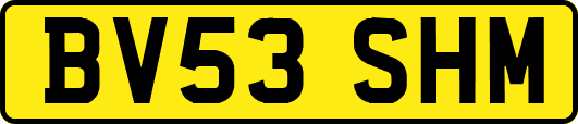 BV53SHM