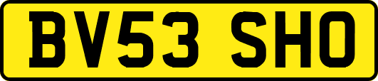 BV53SHO