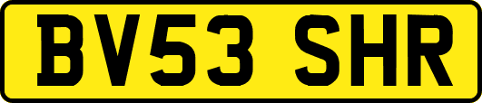 BV53SHR