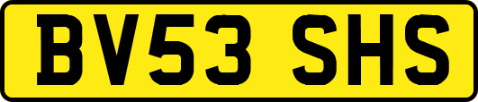 BV53SHS