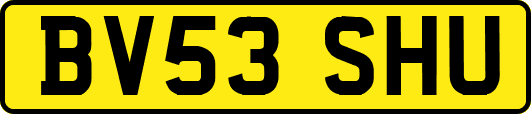 BV53SHU