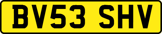 BV53SHV