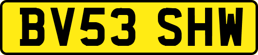 BV53SHW