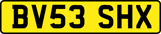 BV53SHX