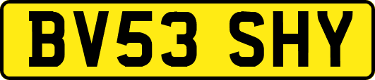 BV53SHY