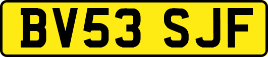 BV53SJF