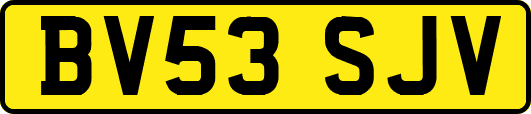 BV53SJV