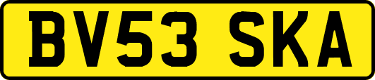 BV53SKA