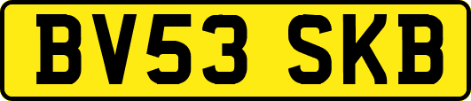 BV53SKB