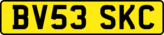 BV53SKC