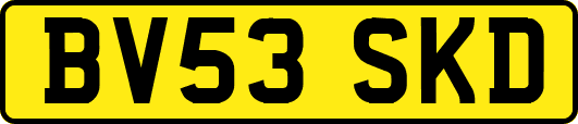 BV53SKD