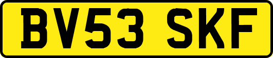 BV53SKF