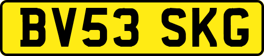 BV53SKG