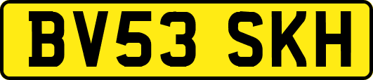 BV53SKH