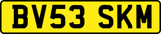 BV53SKM