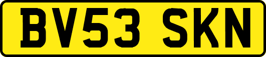 BV53SKN