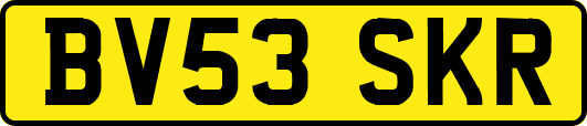 BV53SKR