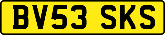 BV53SKS