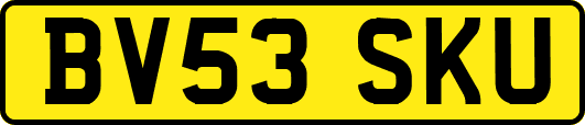BV53SKU