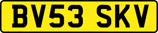 BV53SKV