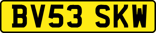 BV53SKW