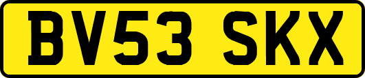 BV53SKX
