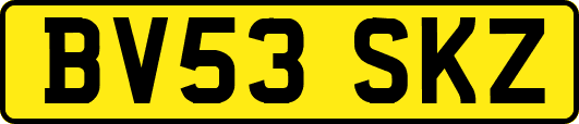 BV53SKZ