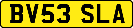 BV53SLA