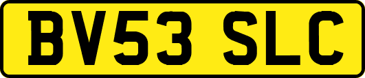 BV53SLC