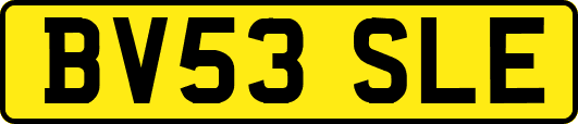 BV53SLE