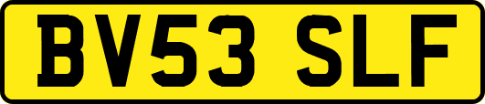 BV53SLF