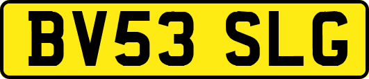 BV53SLG