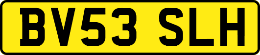 BV53SLH