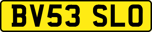BV53SLO