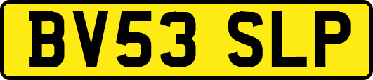 BV53SLP
