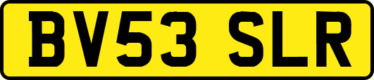BV53SLR
