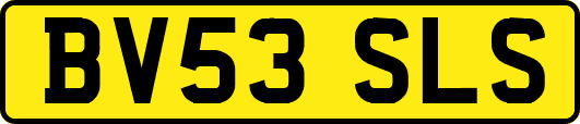 BV53SLS