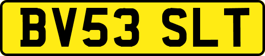 BV53SLT