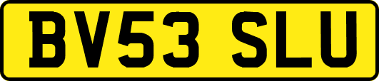 BV53SLU
