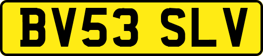 BV53SLV