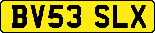 BV53SLX