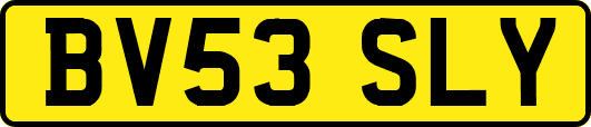 BV53SLY