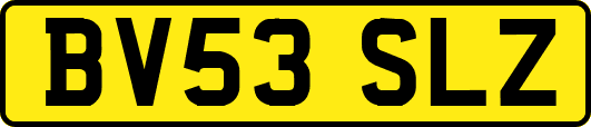 BV53SLZ