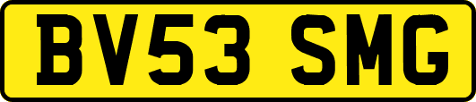 BV53SMG