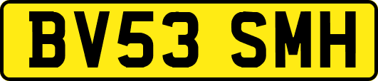 BV53SMH
